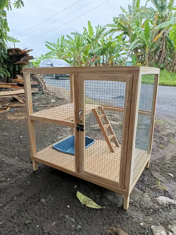 Kandang kucing tingkat