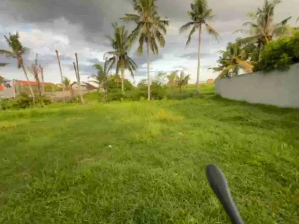 Di jual tanah nyambu kaba kaba view sawah sangat cocok di bangun villa