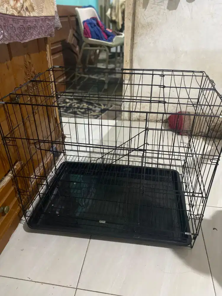 JUAL AJA NI KANDANG KUCING (SEMUA HEWAN BISA) MASIH BARU BANGET