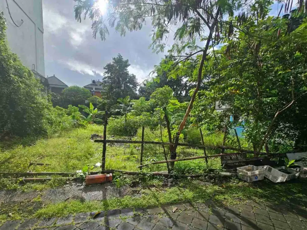 Di jual tanah plot kecil sangat langka di tegak cupek Kerobokan sangat cocok di bangun villa komersil