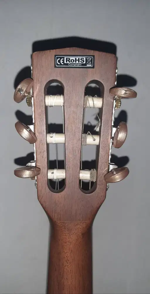 GitaR Akustik elektRik CoRt