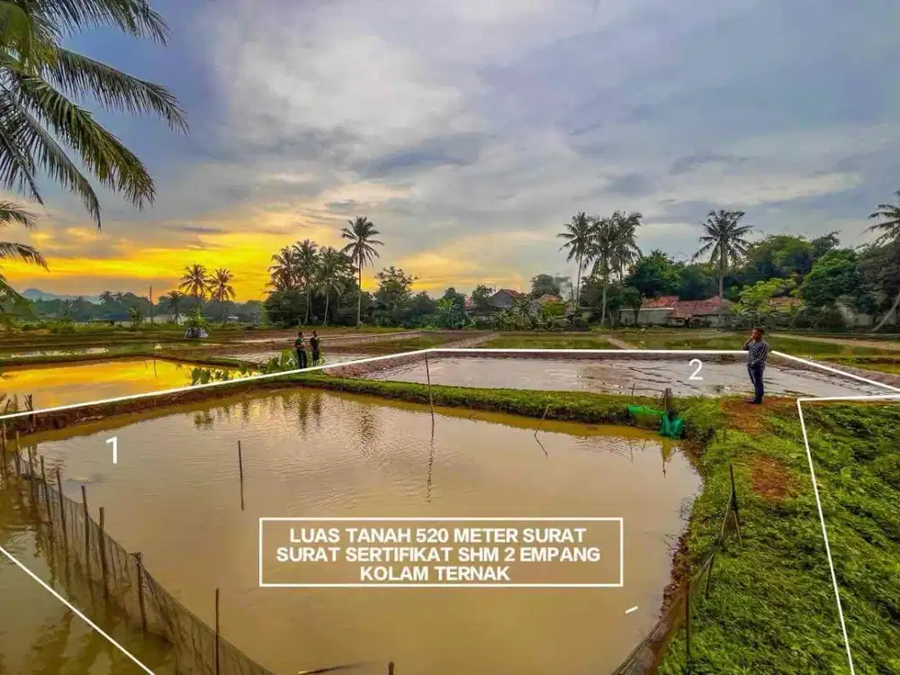 TANAH EMPANG MURAH KAWASAN PETERNAKAN COCOK BUAT BUDIDAYA IKAN DI CISEENG PARUNG BOGOR
