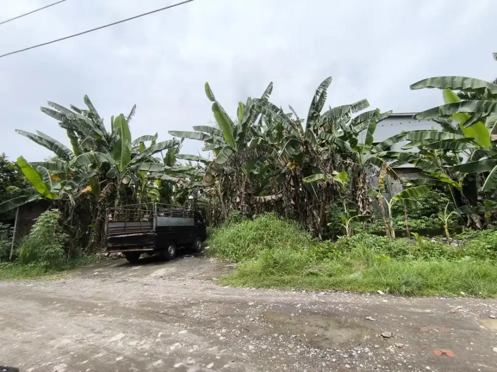 Murahnya kebangeten. Jual Tanah Siwalankerto Permai Surabaya. Dekat Petra Dekat A Yani Surabaya. Urgent perlu laku cepat