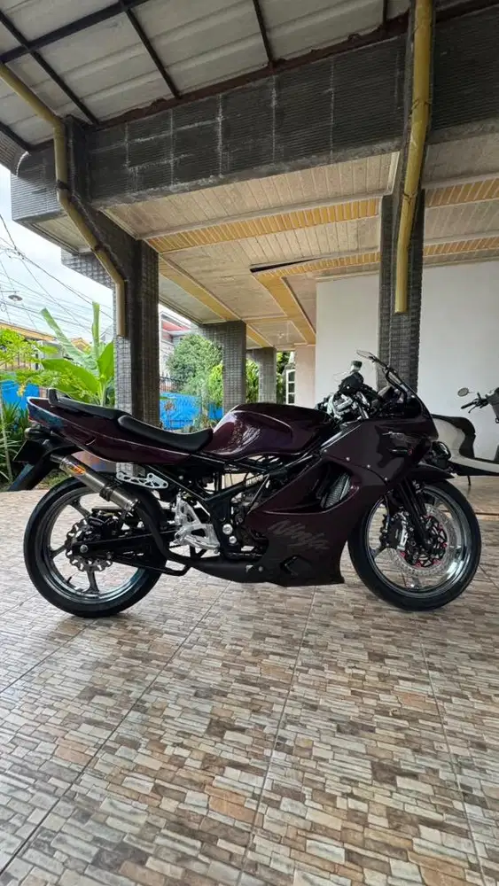 Kawasaki Ninja RR 2010