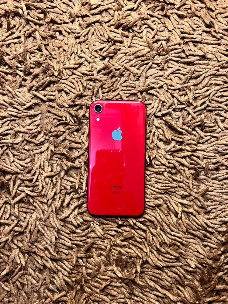 Iphone Xr 128GB Resmi BU
