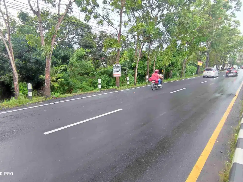 Tanah Strategis Tepi Jalan Raya Nasional Jl. Magelang Km 15 Medari Sleman Yogyakarta