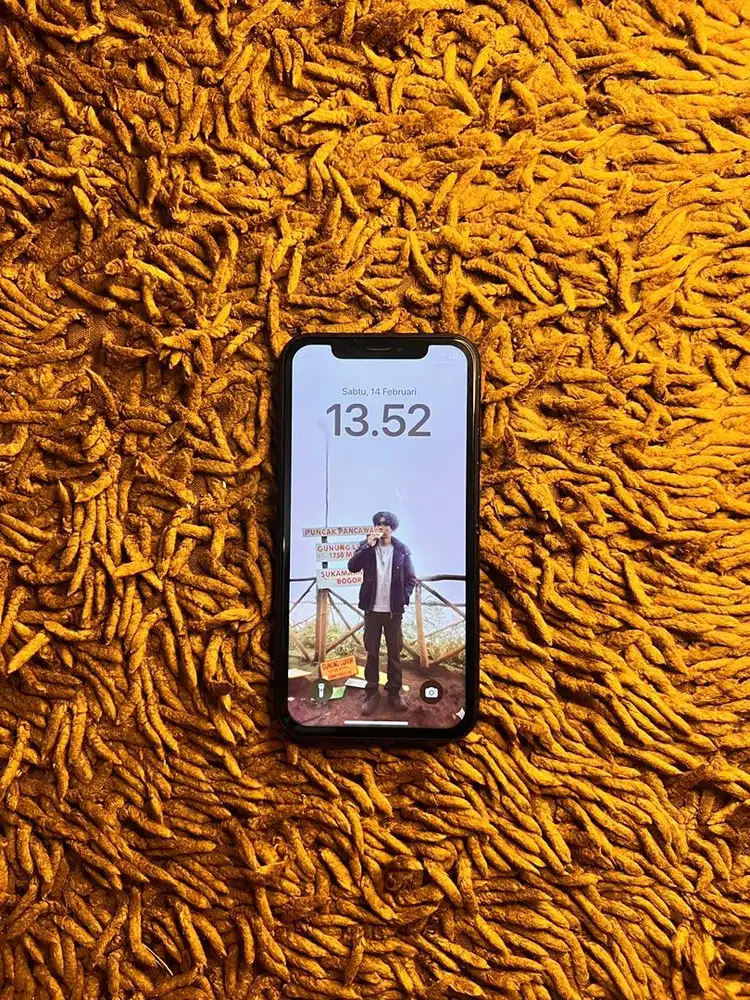 Iphone XR Resmi BU