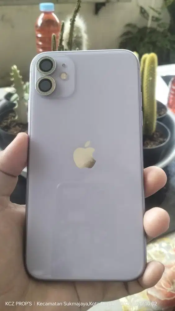 Iphone 11 Lilac