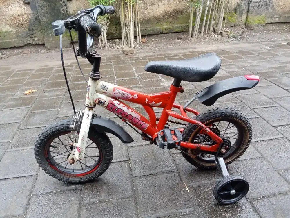 Sepeda anak ELEGANCE R 12