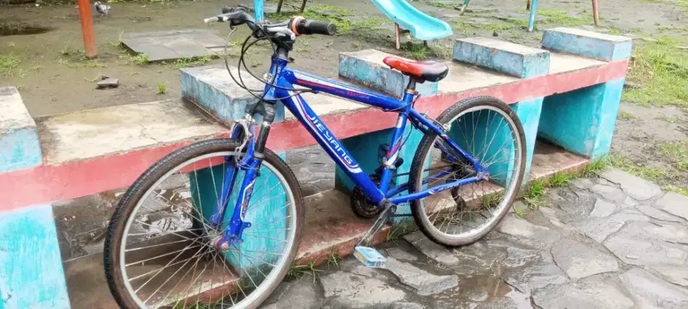 SEPEDA ORI (SIAP DI GUNAKAN)