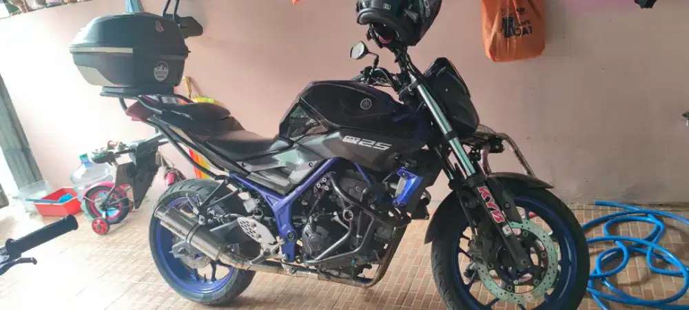 Sepeda Motor Yamaha MT25