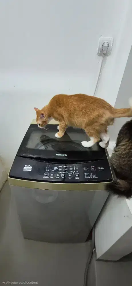 Mesin cuci panasonic NA-F80MB1