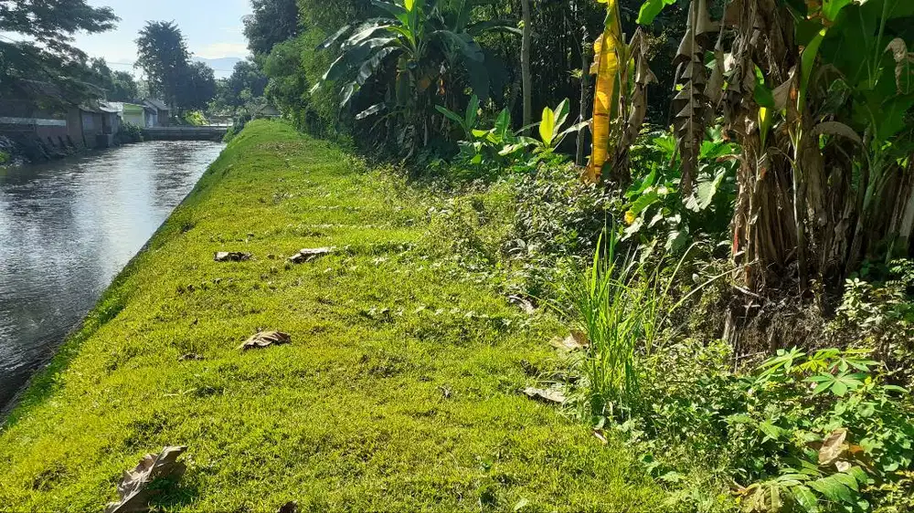 Dijual tanah strategis maron probolinggo