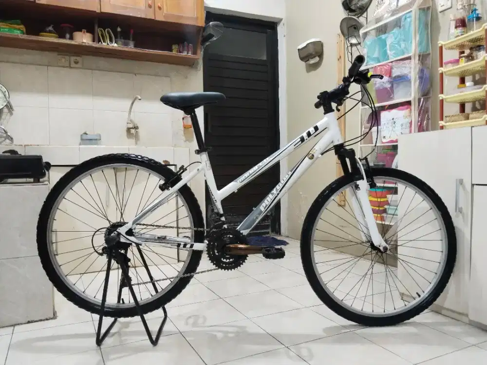 Sepeda polygon Monarch 3