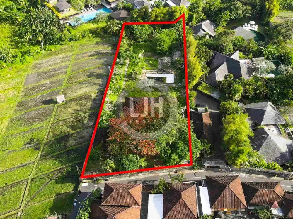 Rice Field View Land in Umalas Kuwum Banjar Semer Kerobokan