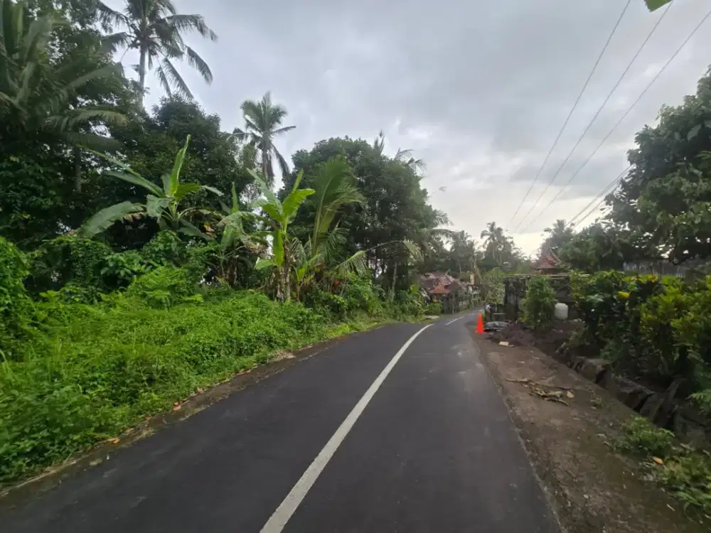 Dijual Tanah View Junggle Area Villa Di Tabanan Bali