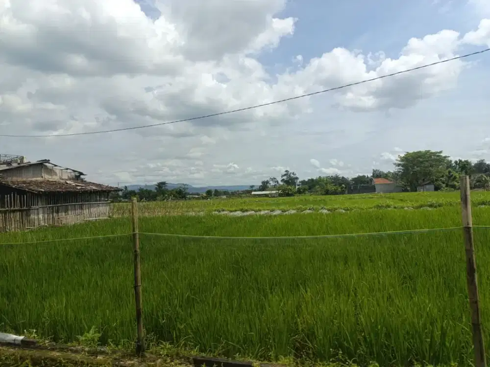 Tanah Selomartani Strategis, Barat SMP Negeri 2 Kalasan Sleman