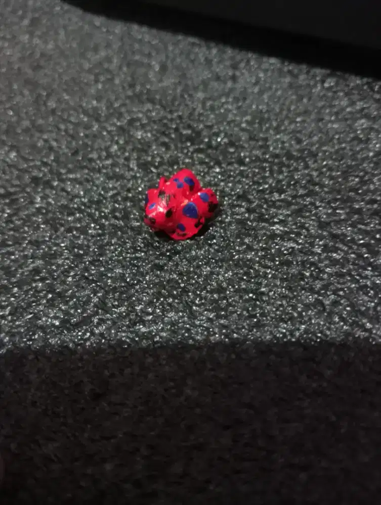 Alat fighting ikan cupang