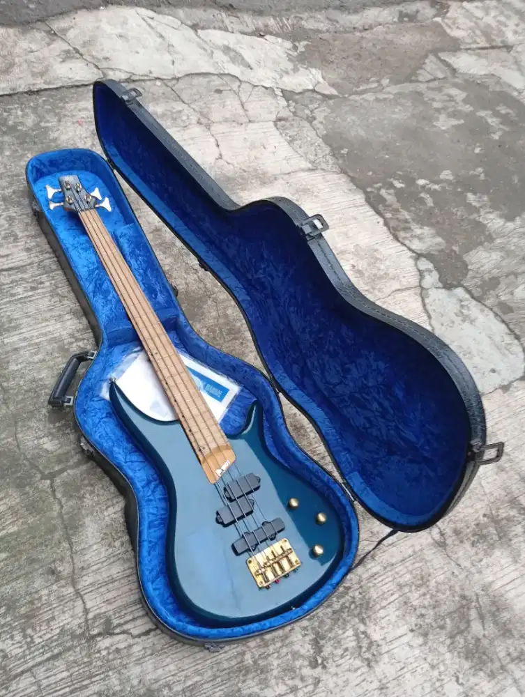 Bass Bg series include hardcase