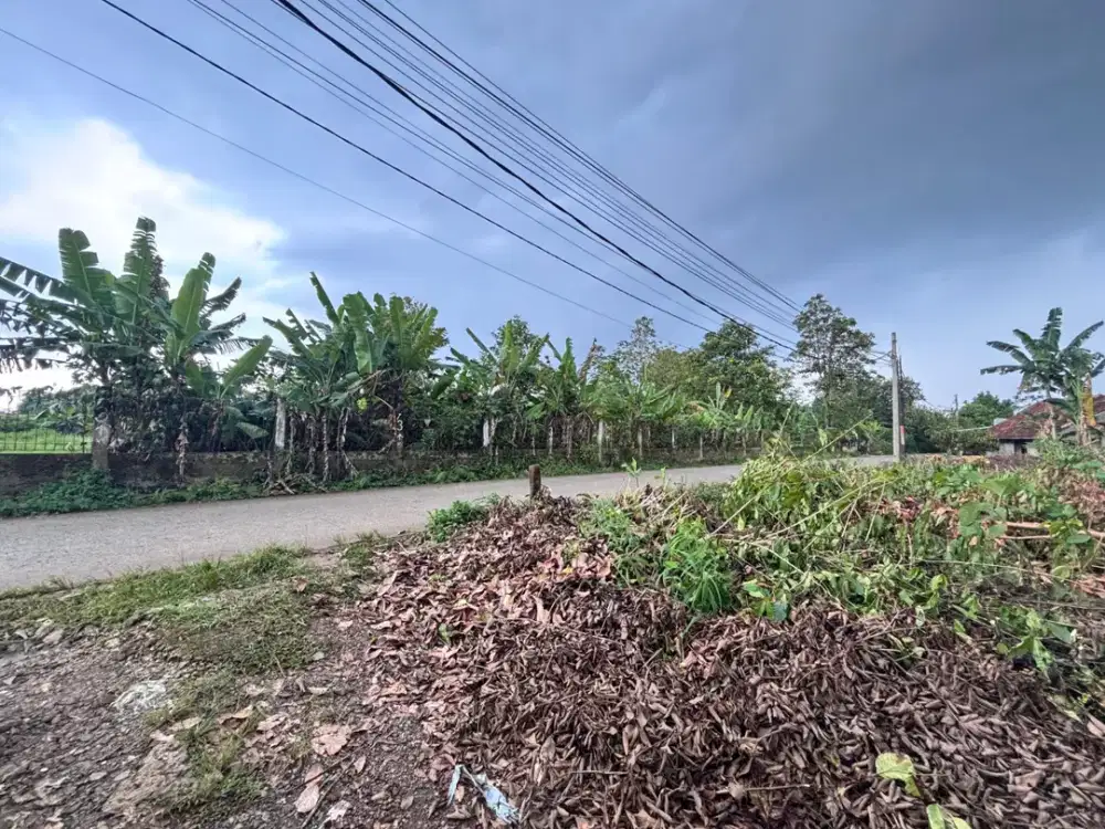 Tanah Cisauk - Murah 100Jtan - SHM - Dekat Tol dan Stasiun baru Jatake