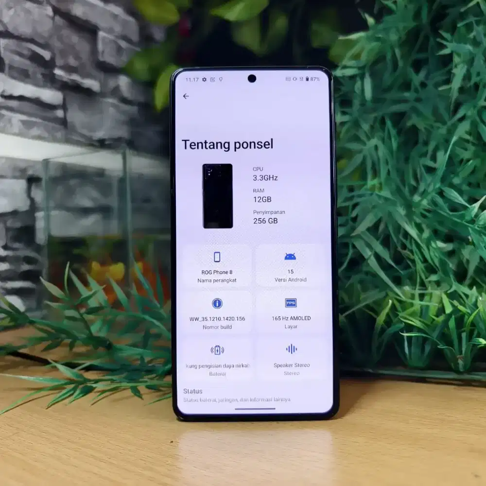 Asus ROG 8 Ram 12/256 GB Unit Only