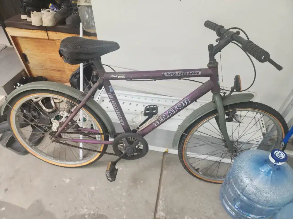 Sepeda apa adanya 200