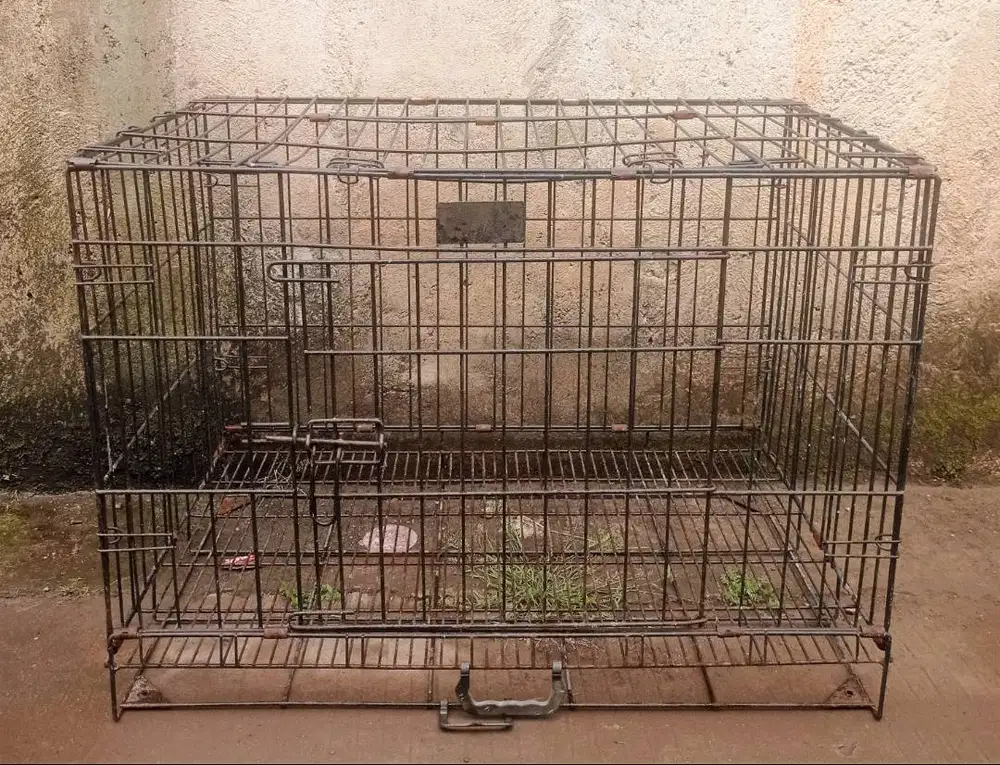 Kandang Kucing (Gratis Pet Cargo dan Bak Pasir)