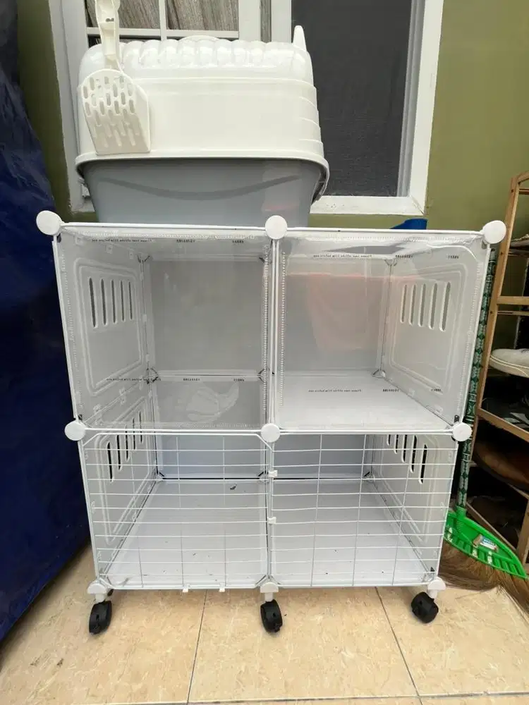 Kandang Kucing putih