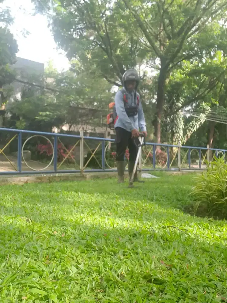 Jasa potong rumput