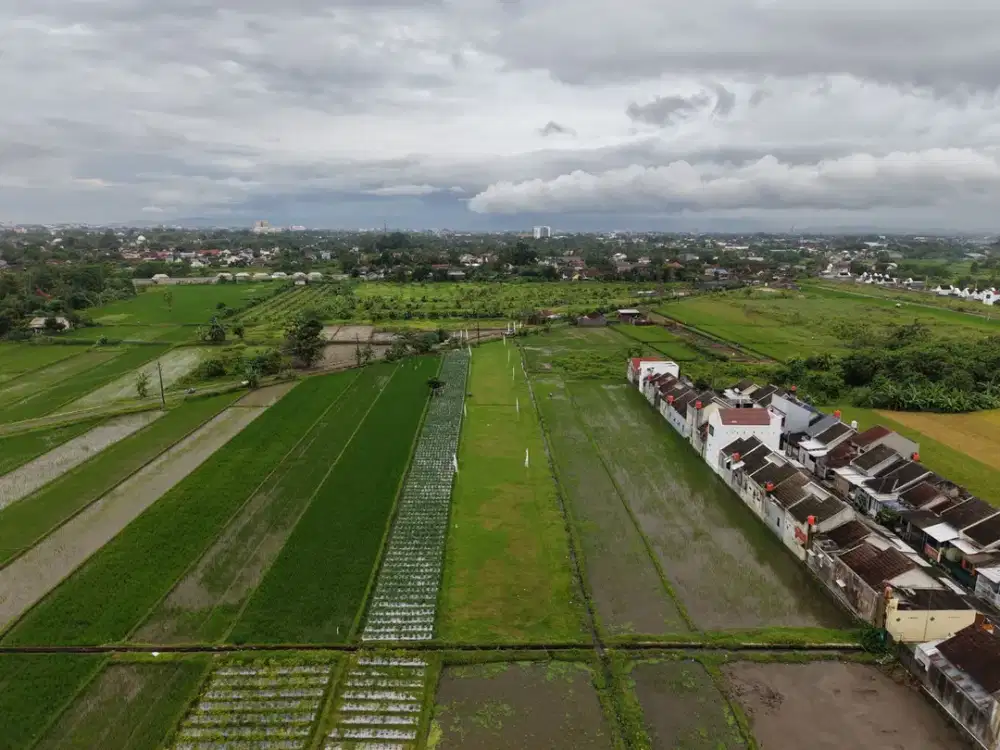 Tanah SHMP Barat Perempatan Demak Ijo