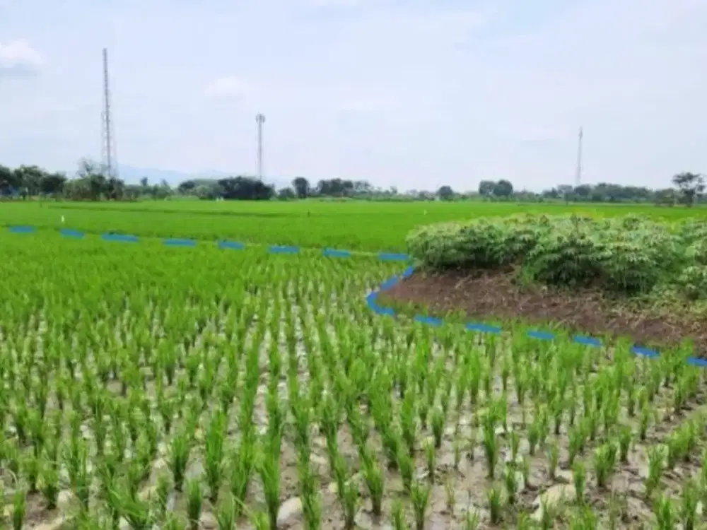 Dijual Tanah Kavling Cibiru Bandung