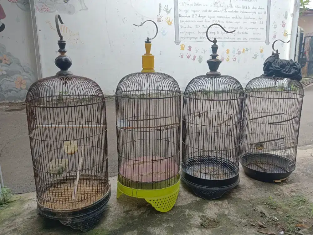 Kandang Lb Besi Borongan