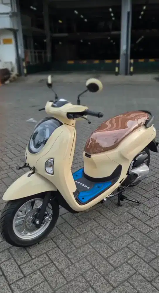 HONDA SCOOPY STYLISH
