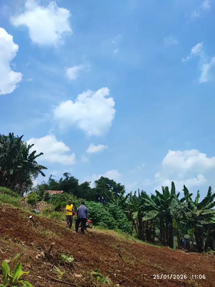 BURUH BERTANI BERKEBUN