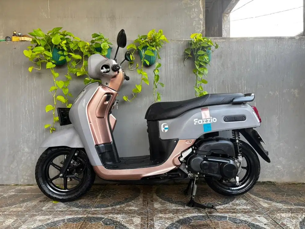 Fazzio 125 THN 2025 Gress Muluss