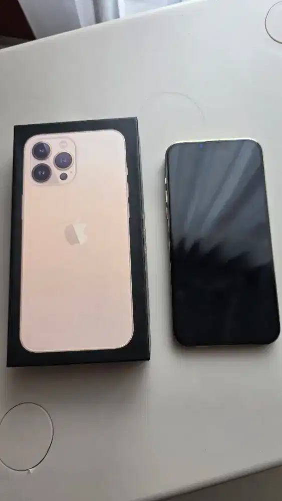 Dijual iPhone 13 Pro Max 1 TB Inter Wifi Only