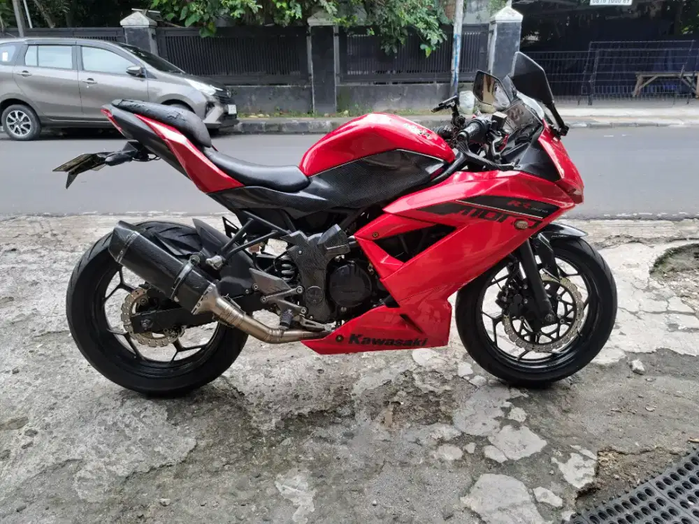 Kawasaki ninja mono 250 2014