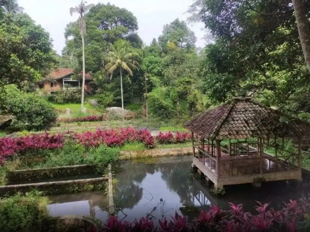 Tanah Dijual Murah Luas Lokasi Dekat TOLL Bocimi Caringin Bogor