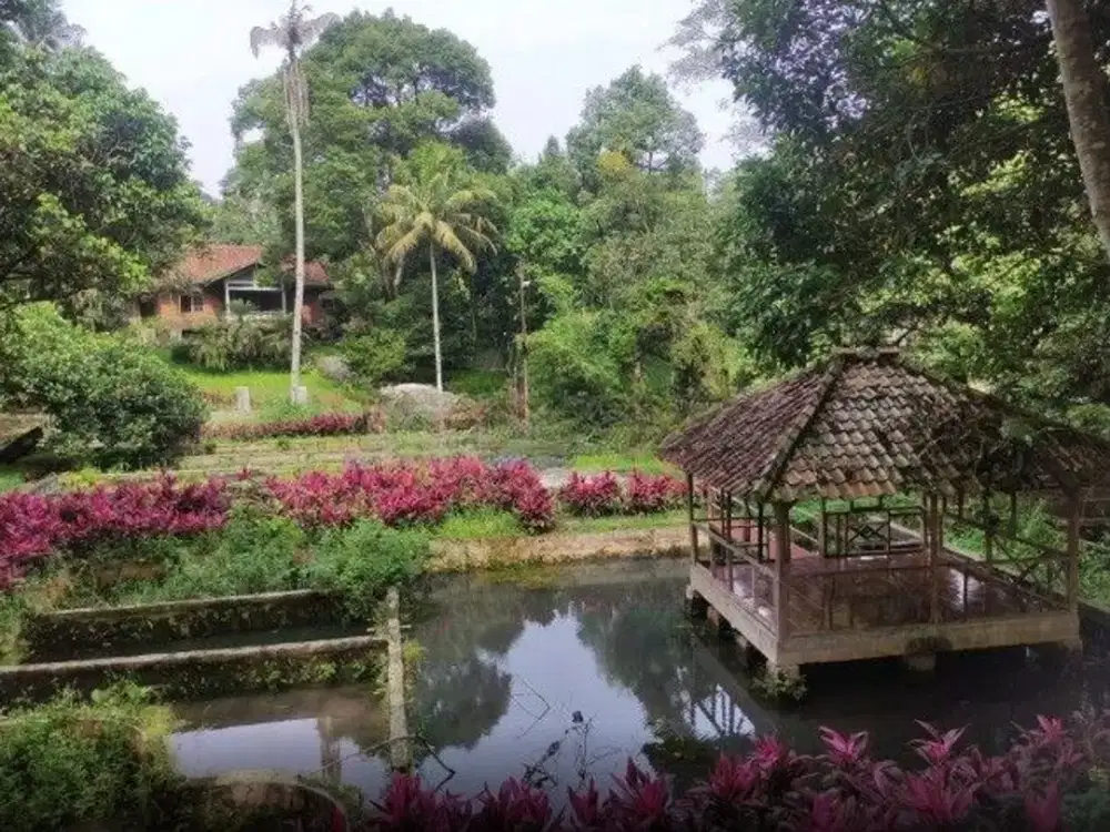 Tanah Dijual Murah Luas Lokasi Dekat TOLL Bocimi Caringin Bogor