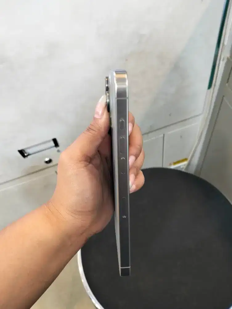 iPhone 15 pro max 256 natural titanium