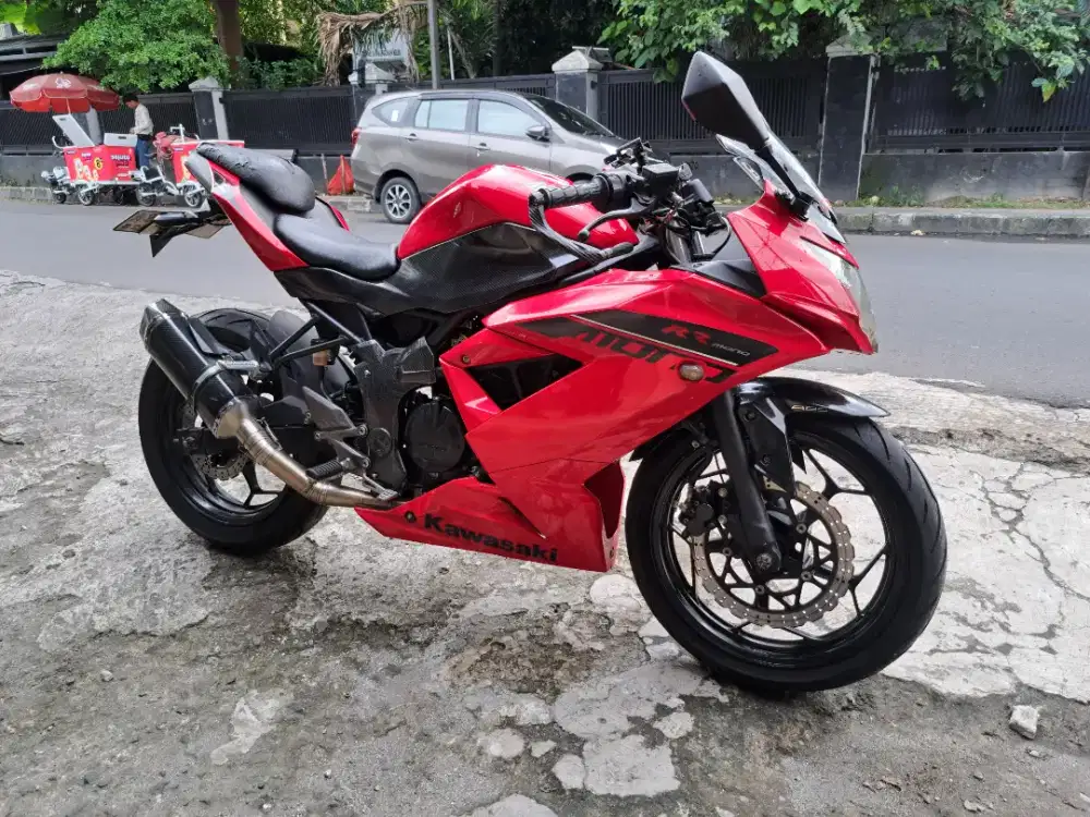 Kawasaki ninja 250 mono 2014