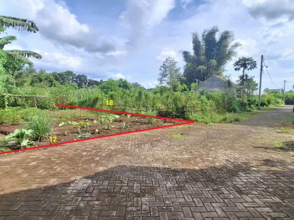 Tanah Murah Losari Singosari Malang Jual Cepat Edisi B.U Poll L 216 m2