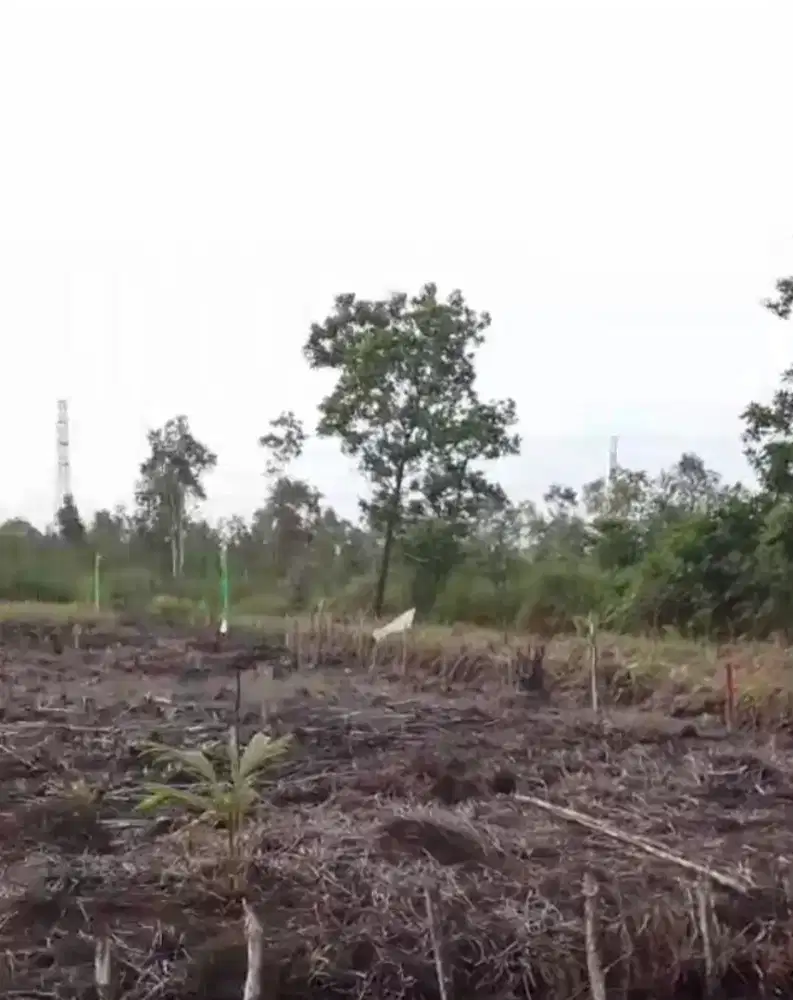 di jual cepat tanah lokasi mato merah