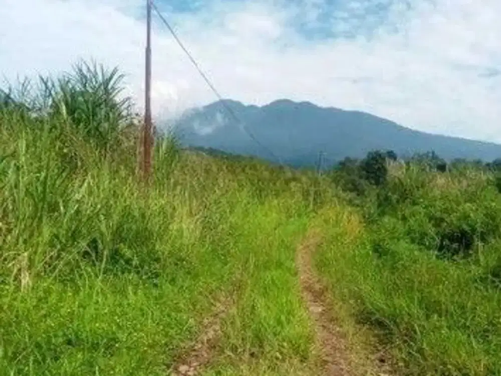 Tanah Dijual Murah Luas View Gunung Di Cigombong
