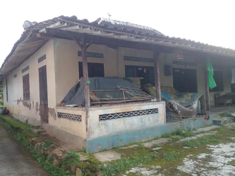 Jual cepat tanah pekarangan luas 967 m2 ld 17m