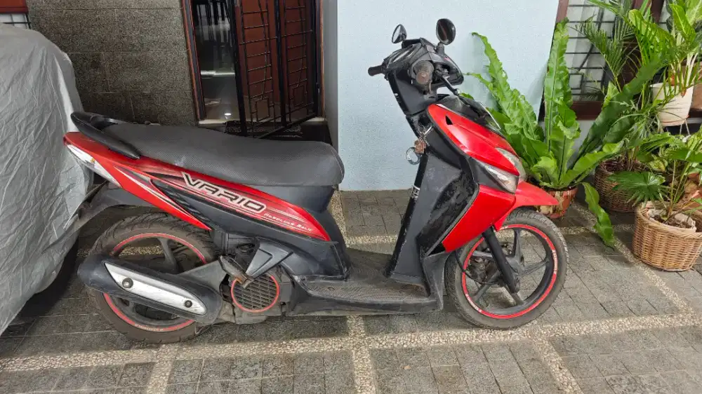 Vario 110 solo 2009