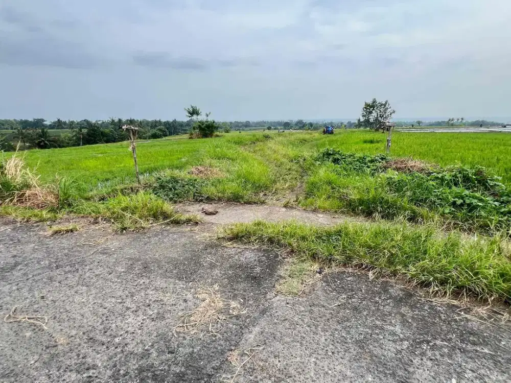 Dijual Tanah Luasan Kecil View Sawah Dekat Pantai Tabanan Bali