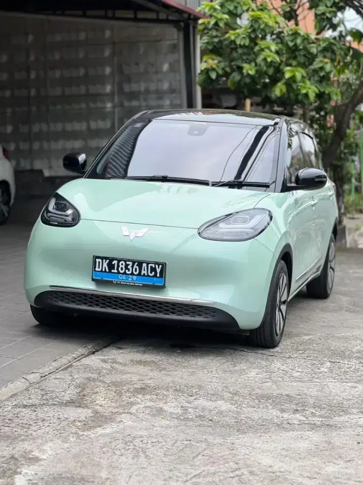 Binguo EV 2024 Asli Bali