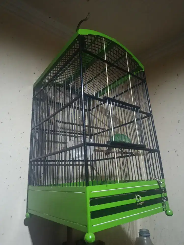 Kandang Kotak No. 3 Plus Kerodong