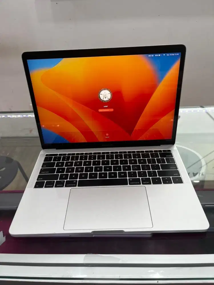 Macbook pro 13 inch 2017 two thunderbolt 3 ports